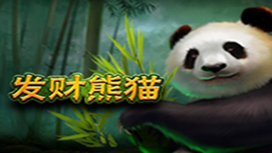福运滚滚来，跟着发财熊猫一起抱金回家！
